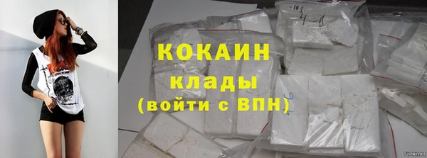 кокс Алексин