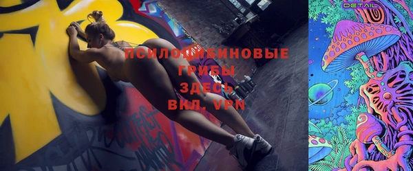 молекула духа Алзамай