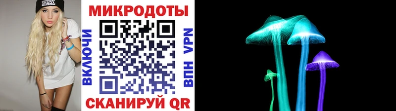 цены Пикалёво Псилоцибиновые грибы Psilocybine cubensis